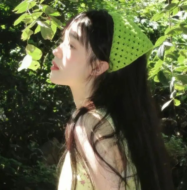 重访